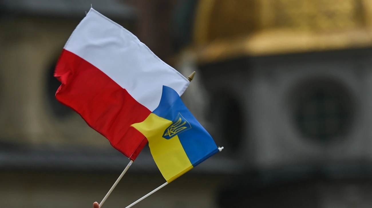 Ярослав Качинський, IBRiS та МВС Польщі: ролі в дискусії про депортацію